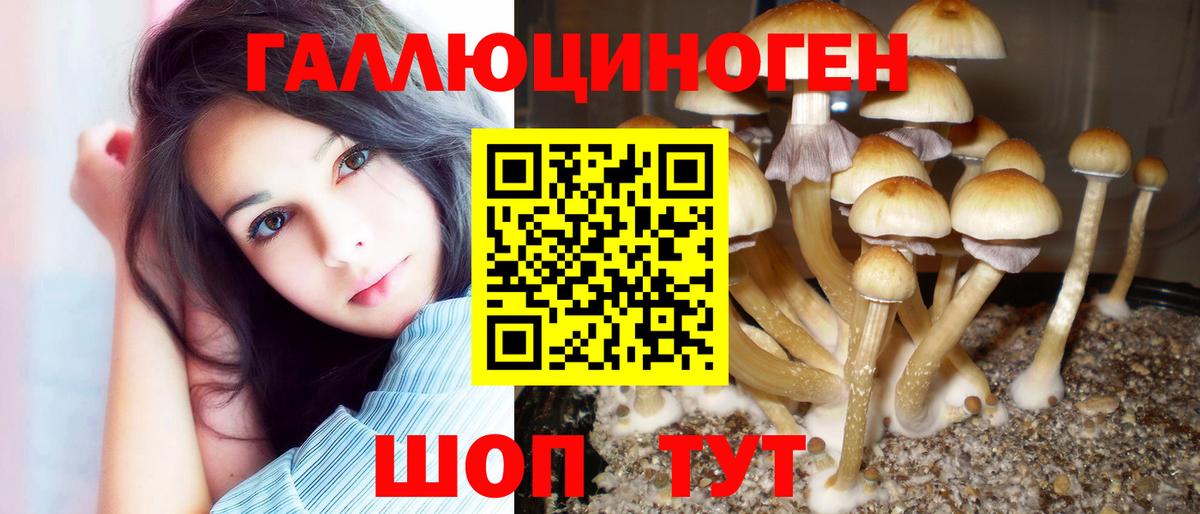 Галлюциногенные грибы ЛСД Грязи