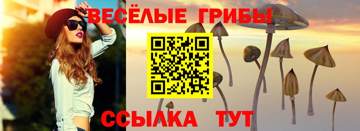 закладки  Вход с VPN  Грязи  Псилоцибиновые грибы мухоморы  Галлюциногенные грибы мицелий 